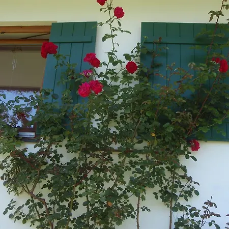 Haus Schwaiger Apartamento Fieberbrunn